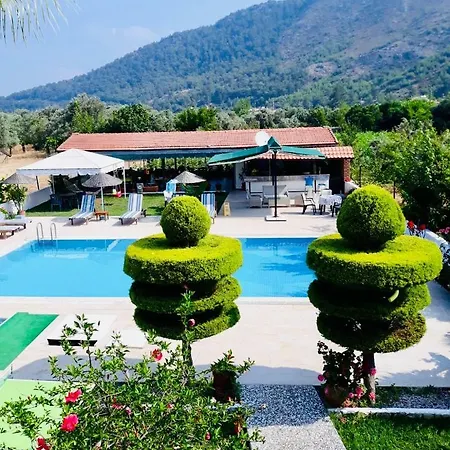 Motel Erol