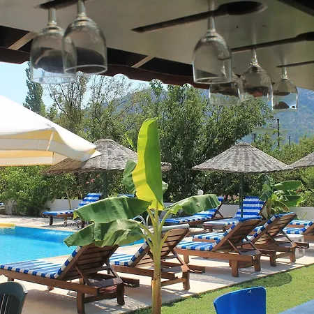 Erol Orhaniye (Marmaris)