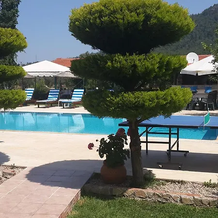 Erol * Orhaniye (Marmaris)